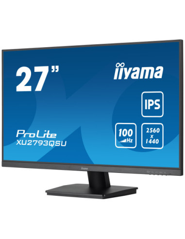 MONITOR IIYAMA IPS 1H 1DP, 2X3.2 100HZ, 300CD
