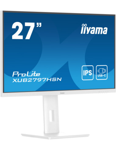 MONITOR IIYAMA USB-C, LAN, DP-OUT (DOCK), 300CD