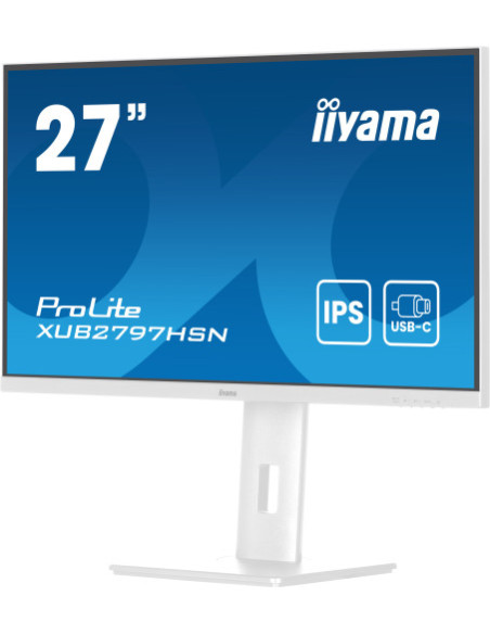 MONITOR IIYAMA USB-C, LAN, DP-OUT (DOCK), 300CD