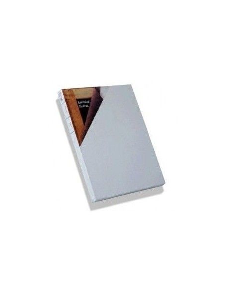 LIENZO ALCARAZ 12F 61X50