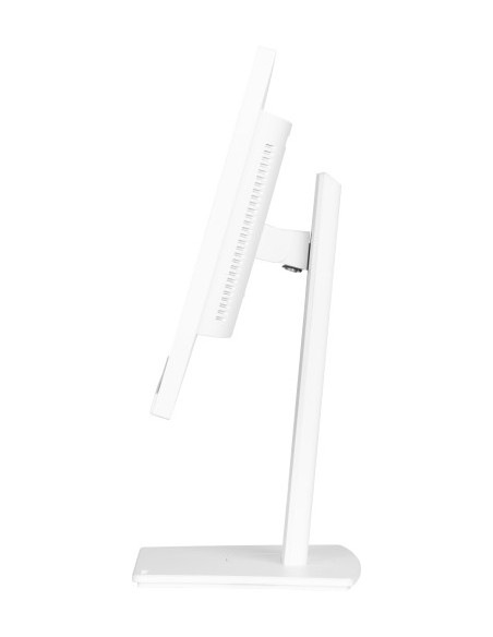 MONITOR IIYAMA  24'' CON PANEL EN TECNOLOGÍA IPS, USB-C DOCK Y RJ45 (LAN)