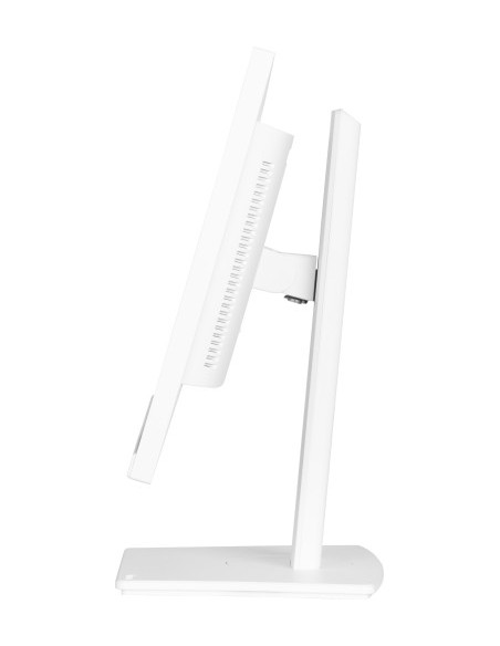 MONITOR IIYAMA  24'' CON PANEL EN TECNOLOGÍA IPS, USB-C DOCK Y RJ45 (LAN)