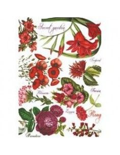 PAPEL DE ARROZ 35X50 BOTANICA FLORES ROJAS CALAMBOUR