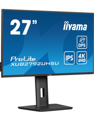IIYAMA IPS 1H 1DP, 3x3.2+1xC
