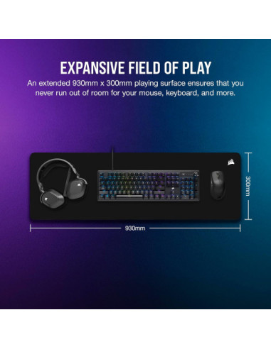 TALLA L  CH-941B161-WW