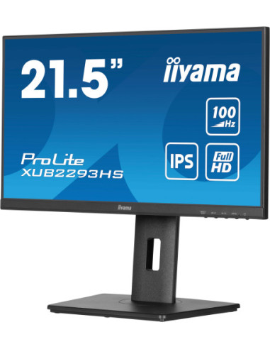MONITOR IIYAMA  TFT 21,5"/54,5CM PROLITE