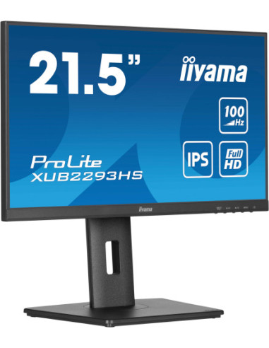 MONITOR IIYAMA  TFT 21,5"/54,5CM PROLITE