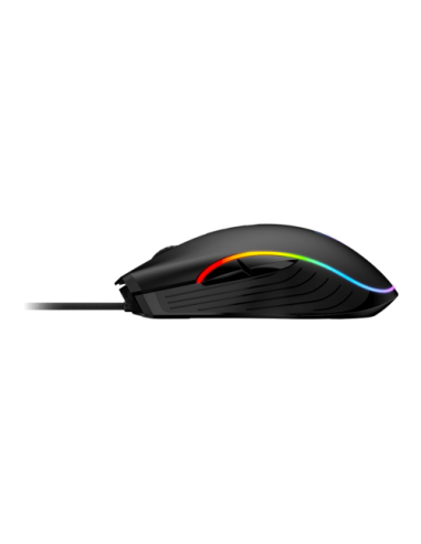 RATON MSI FORGE GM300