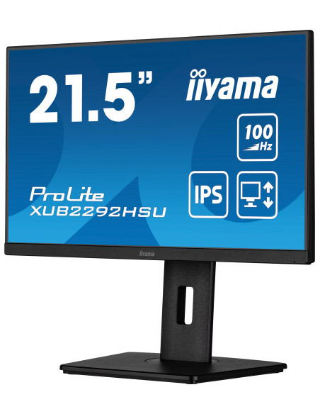MONITOR IIYAMA 21.5"/1920 x 1080/100Hz /2.1MPX/250CD/FHD/16:9/HDMI/IPSLED/NEGRO