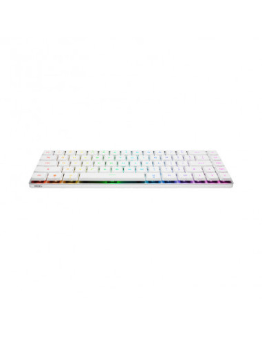 TECLADO ASUS FALCHION RX LP