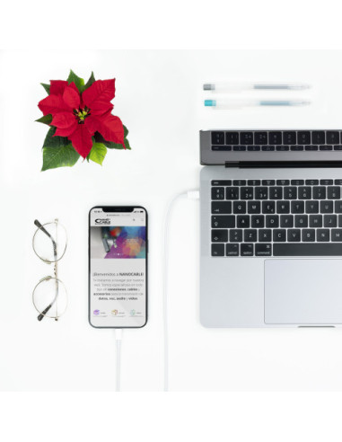 NANOCABLE CABLE LIGHTNING A USB-C, 50 CM