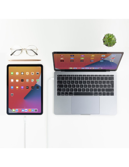 NANOCABLE CABLE LIGHTNING A USB-C, 50 CM