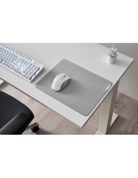 ALFOMBRILLA RAZER PRO GLIDE (RZ02-03331500-R3M1)