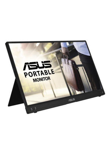 PORTABLE MONITOR
