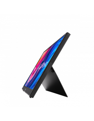 PORTABLE PROFESIONAL