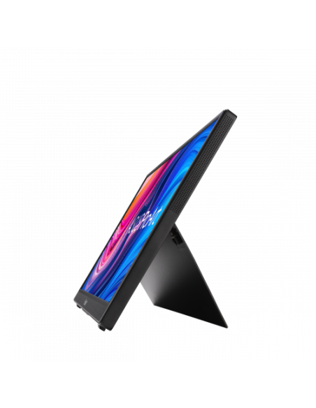 PORTABLE PROFESIONAL