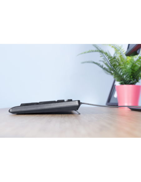 TRUST TECLADO + RATON PRIMO , NEGRO (23972)