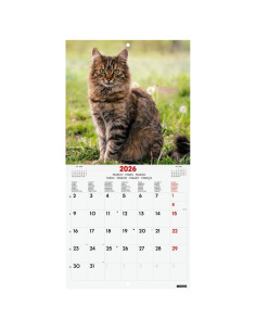 CALENDARIO FINOCAM 2026 PARED 18X18CM CATS INTL