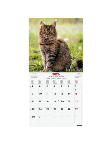 CALENDARIO FINOCAM 2026 PARED 18X18CM CATS INTL