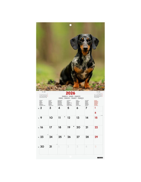 CALENDARIO FINOCAM 2026 PARED 18X18CM DOGS INTL