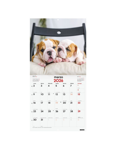 CALENDARIO FINOCAM 2026 PARED 30X30CM CACHORROS