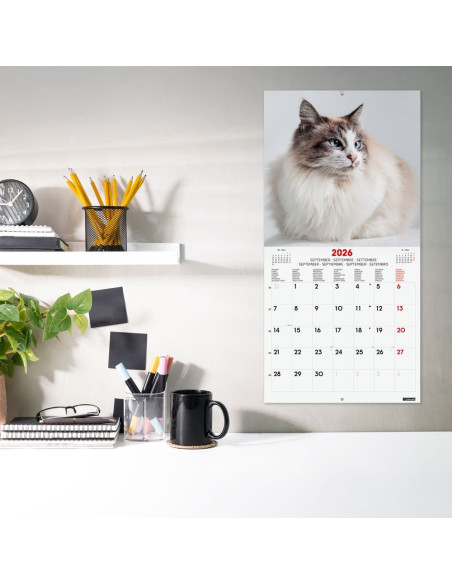 CALENDARIO FINOCAM 2026 PARED 30X30CM CATS INTL