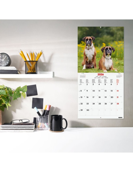 CALENDARIO FINOCAM 2026 PARED 30X30CM DOGS INTL