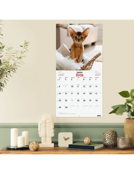 CALENDARIO FINOCAM 2026 PARED 30X30CM GATITOS