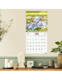 CALENDARIO FINOCAM 2026 PARED 30X30CM PERROS Y GATOS