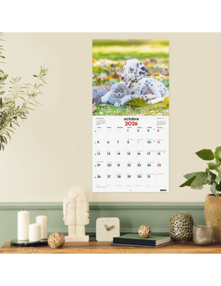 CALENDARIO FINOCAM 2026 PARED 30X30CM PERROS Y GATOS
