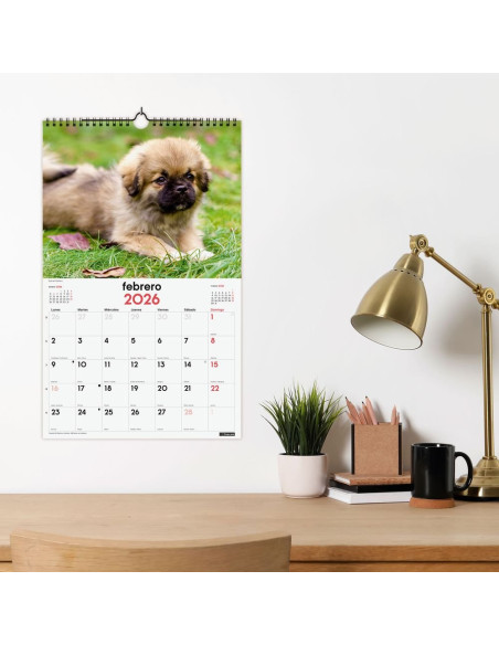 CALENDARIO FINOCAM 2026 PARED ESPIRAL 25X40CM CACHORROS