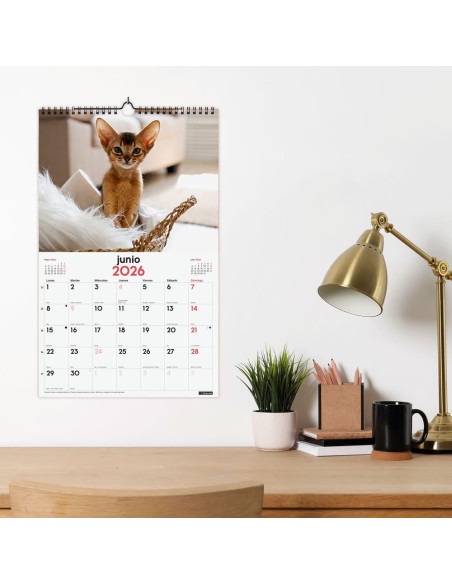 CALENDARIO FINOCAM 2026 PARED ESPIRAL 25X40CM GATITOS