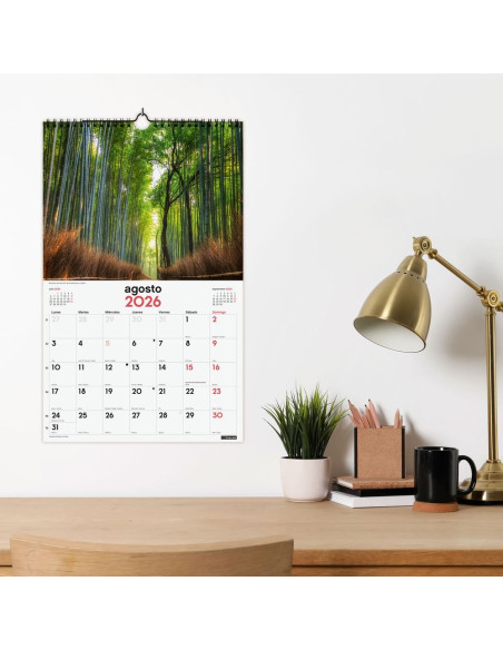 CALENDARIO FINOCAM 2026 PARED ESPIRAL 25X40CM NATURALEZA