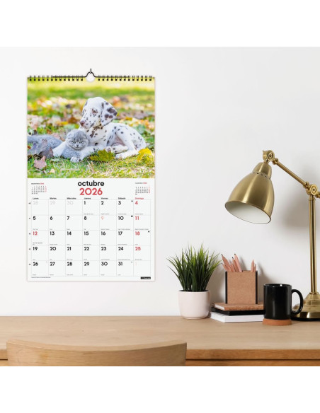 CALENDARIO FINOCAM 2026 PARED ESPIRAL 25X40CM PERROS GAT