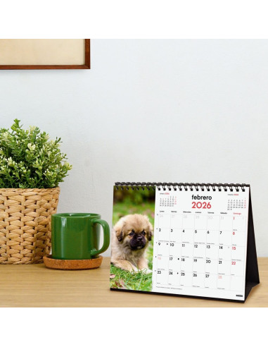 CALENDARIO FINOCAM 2026 SOBREMESA CACHORROS 21X15CM