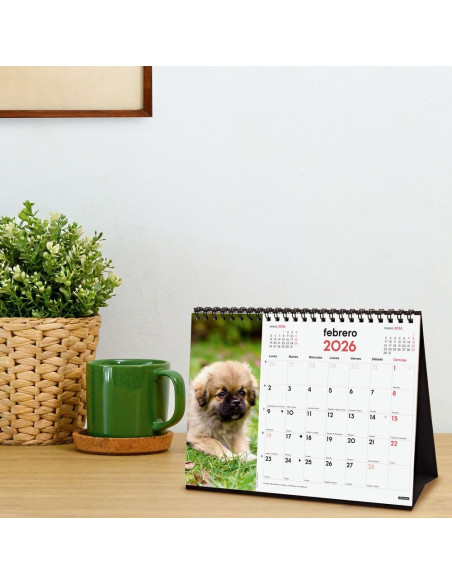 CALENDARIO FINOCAM 2026 SOBREMESA CACHORROS 21X15CM