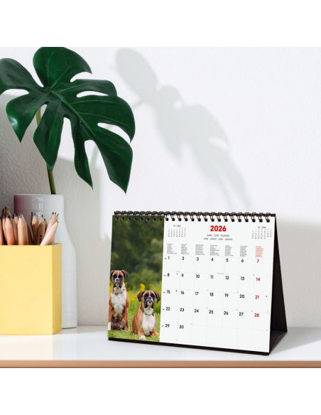 CALENDARIO FINOCAM 2026 SOBREMESA DOGS INTL 21X15CM
