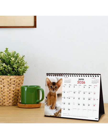 CALENDARIO FINOCAM 2026 SOBREMESA GATITOS 21X15CM