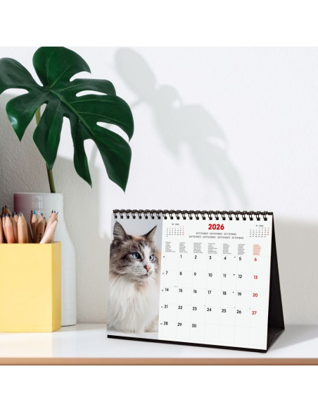 CALENDARIO FINOCAM 2026 SOBREMESA GATITOS INTL 21X15CM