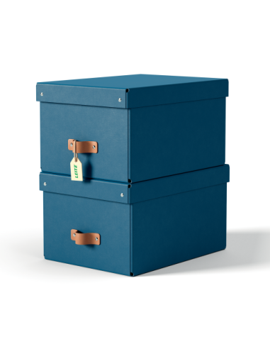 PACK 2 CAJAS DE ALMACENAMIENTO CARTÓN MEDIANA...