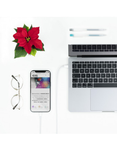 (EOL) NANOCABLE CABLE LIGHTNING A USB-C, 2.0 M