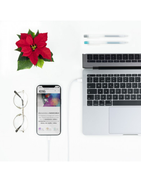 (EOL) NANOCABLE CABLE LIGHTNING A USB-C, 2.0 M