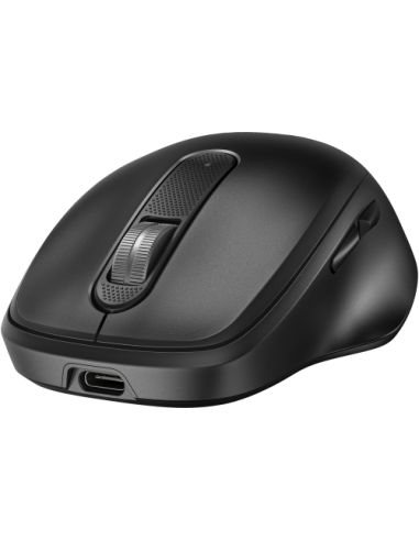 RATON HP 510 RECARGABLE ULTRARRAPIDO INALAMBRICO