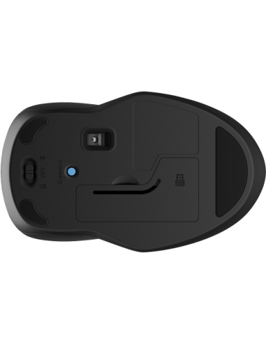 RATON HP 250 DUAL NEGRO INALAMBRICO