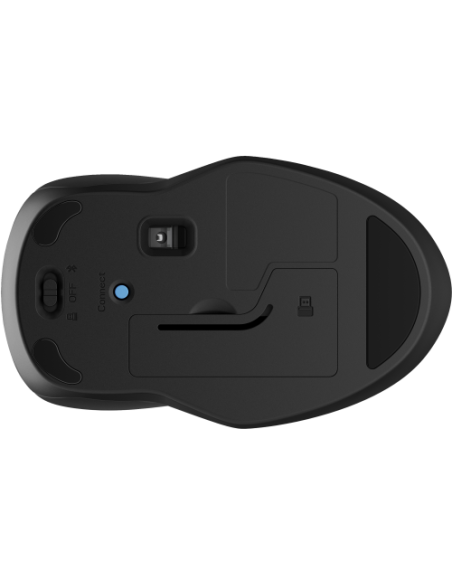 RATON HP 250 DUAL NEGRO INALAMBRICO