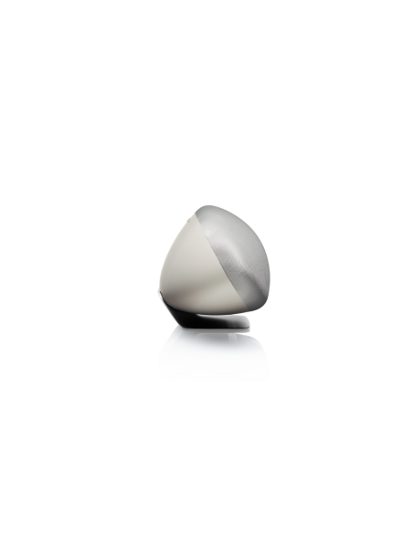 BOWERS AND WILKINS ALTAVOZ ZEPPELIN 2021 PEARL GREY UK/EC