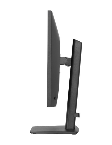 MONITOR IIYAMA 27" IPS, 4-SIDE SLIM BEZEL  2560X1440 75HZ