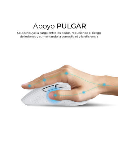 COMBO DUAL OFFICE PROWAVE WHITE SUBBLIM