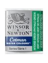 PASTILLAS DE ACUARELA COTMAN DE WINSOR & NEWTON MEDIO GODET