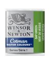 PASTILLAS DE ACUARELA COTMAN DE WINSOR & NEWTON MEDIO GODET